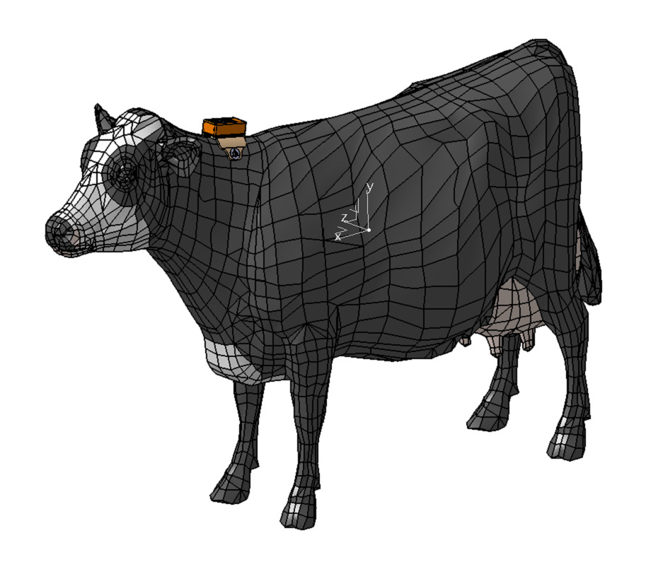 Disposition du collier